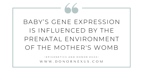 Epigenetics tells us that mothers via egg donation still influence their baby's development in the womb. Learn more!